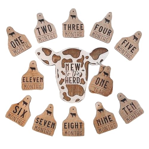 Highland Cow Milestone Marker – Monatliche Meilensteinkarten aus Holz mit Highland Kuh-Design, schöne Aussparungen für Baby-Kuhbabys Highland, Dekor Meilenstein für Neugeborene, einzigartige Kuh B Highland Cow Milestone Marker – Monatliche Meilensteinkarten aus Holz mit Highland Kuh-Design, schöne Aussparungen für Baby-Kuhbabys Highland, Dekor Meilenstein für Neugeborene, einzigartige Kuh B von Générique