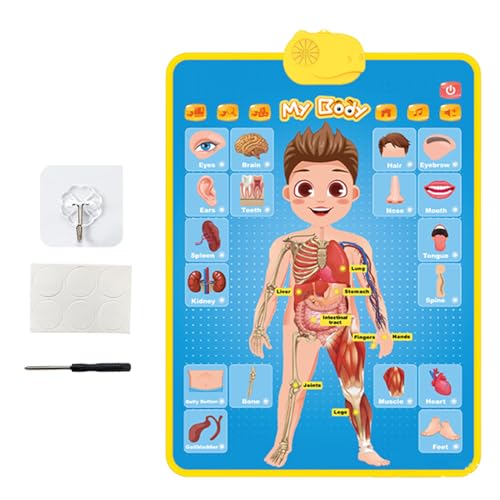 Learning Wall Chart, Interactive Speech Talking Poster, 16,14 x 21,85 Zoll Fun Learning Tool, Sturdy & Easy to Use, Bildungsgraph für & Mädchen, Alter 1 bis 5 Learning Wall Chart, Interactive Speech Talking Poster, 16,14 x 21,85 Zoll Fun Learning Tool, Sturdy & Easy to Use, Bildungsgraph für & Mädchen, Alter 1 bis 5 von Générique