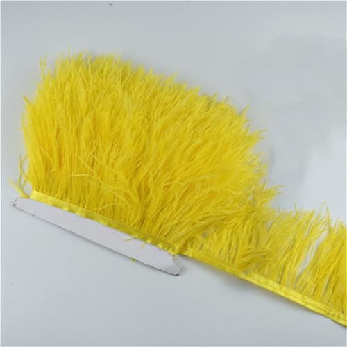 1 Meter/Lot Natürliche Straußenfeder-Besatz, Höhe 8-10 cm, für Bastelarbeiten, Basteln, Hochzeit, Party, Kleid, Dekoration, 12 1 Meter/Lot Natürliche Straußenfeder-Besatz, Höhe 8-10 cm, für Bastelarbeiten, Basteln, Hochzeit, Party, Kleid, Dekoration, 12 von Generisch