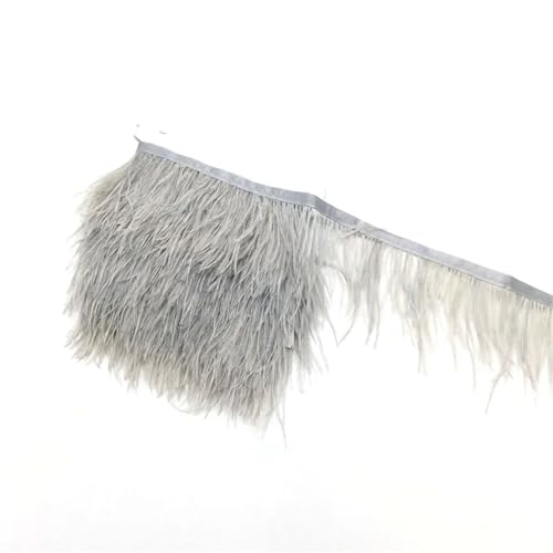 1 Meter Straußenfeder-Bordüre, Fransen für Kleid, Kleidung, Dekoration, Nähen, Handarbeiten, Zubehör, Handwerk, Hellgrau, 1 Meter 1 Meter Straußenfeder-Bordüre, Fransen für Kleid, Kleidung, Dekoration, Nähen, Handarbeiten, Zubehör, Handwerk, Hellgrau, 1 Meter von Generisch
