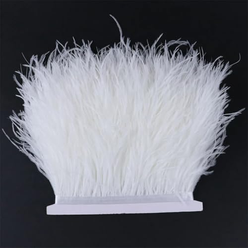1 Meter Straußenfederbesatz Besatz Fransenband Spitze für Hochzeit Party Kleid Nähen Dekoration Bleichen Weiß 8-10cm 1 Meter Straußenfederbesatz Besatz Fransenband Spitze für Hochzeit Party Kleid Nähen Dekoration Bleichen Weiß 8-10cm von Generisch