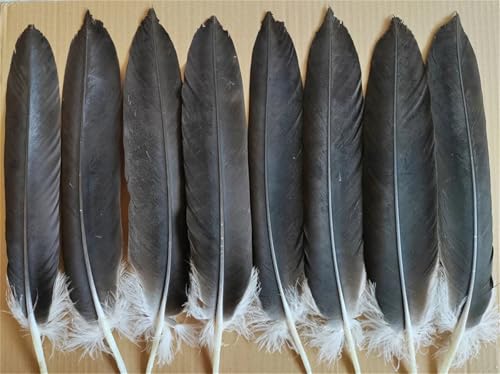 1 Meter natürlich schillernde Federfransen ein nähbares Band zum Basteln von dekorativer Kleidung und DIY-Nähprojekten 1 Meter natürlich schillernde Federfransen ein nähbares Band zum Basteln von dekorativer Kleidung und DIY-Nähprojekten von Generisch