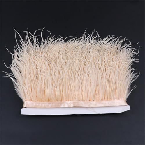1 Meter natürliche Straußenfeder-Bordüre, Fransen 6–8 cm, Dekoration für Kleid, Kleidung, Nähzubehör, Basteln, Champagner 1 Meter natürliche Straußenfeder-Bordüre, Fransen 6–8 cm, Dekoration für Kleid, Kleidung, Nähzubehör, Basteln, Champagner von Generisch