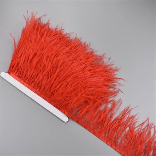1 Meter weißes Straußenfederband, 10–15 cm, Quaste, Fransenborte zum Nähen, Nähen, Nähen, Nähen, Nähen, Nähen, Nähen, Nähen, Nähen, Nähen, Nähen, Nähen, Nähen, Näh 1 Meter weißes Straußenfederband, 10–15 cm, Quaste, Fransenborte zum Nähen, Nähen, Nähen, Nähen, Nähen, Nähen, Nähen, Nähen, Nähen, Nähen, Nähen, Nähen, Nähen, Näh von Generisch