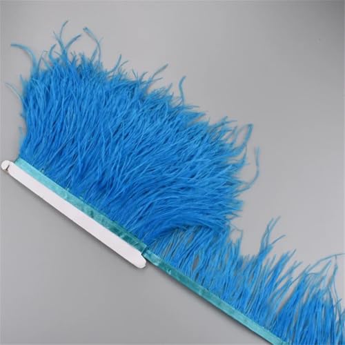 1 Meter weißes Straußenfederband, 10–15 cm, Quaste, Fransenborte zum Nähen, Nähen, Nähen, Nähen, Nähen, Nähen, Nähen, Nähen, Nähen, Nähen, Nähen, Nähen, Nähen, Nähen, Nähen, 1 Meter weißes Straußenfederband, 10–15 cm, Quaste, Fransenborte zum Nähen, Nähen, Nähen, Nähen, Nähen, Nähen, Nähen, Nähen, Nähen, Nähen, Nähen, Nähen, Nähen, Nähen, Nähen, von Generisch