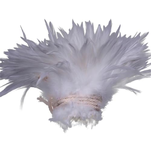 1 Rolle farbige Fasanenfedern für Bastelarbeiten, Schmuck, Hochzeit, Party, Dekoration, Bastelzubehör, Weiß, 2 Stück 1 Rolle farbige Fasanenfedern für Bastelarbeiten, Schmuck, Hochzeit, Party, Dekoration, Bastelzubehör, Weiß, 2 Stück von Generisch