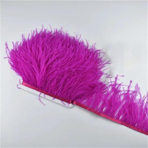 10 Meter 10–15 cm Federband, Fransenbordüre, Nähen, Federborte, Hochzeitszubehör, Dekoration, 10 Stück, Rosenrot 10 Meter 10–15 cm Federband, Fransenbordüre, Nähen, Federborte, Hochzeitszubehör, Dekoration, 10 Stück, Rosenrot von Generisch