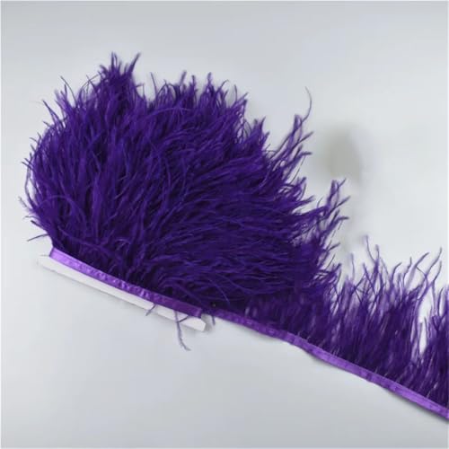 10 Meter 10–15 cm Federband, Fransenbordüre, Nähen, Federborte, Hochzeitszubehör, Dekoration, 16 Dunkelviolett 10 Meter 10–15 cm Federband, Fransenbordüre, Nähen, Federborte, Hochzeitszubehör, Dekoration, 16 Dunkelviolett von Generisch