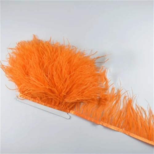 10 Meter 10-15 cm Federband Fransenborte Nähen Federbesatz Hochzeitszubehör Dekoration 13 Orange von Generisch
