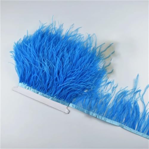 10 Meter 10-15 cm Federband Fransenborte Nähen Federbesatz Hochzeitszubehör Dekoration 17 Seeblau von Generisch