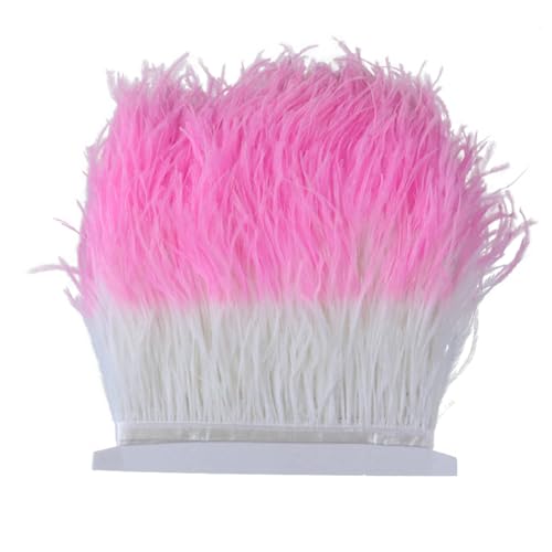 10 Meter Bicolor Straußenfeder-Bordüre, Fransen 10–15 cm, Straußenfedern, Band für Kleid, Dekoration, Nähen, Basteln, Weiß - Pnnrk 10 Meter Bicolor Straußenfeder-Bordüre, Fransen 10–15 cm, Straußenfedern, Band für Kleid, Dekoration, Nähen, Basteln, Weiß - Pnnrk von Generisch