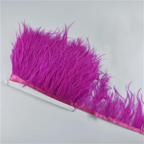 10 Meter Federband für Rock/Kleid, 8–10 cm, Kostümfedern zum Basteln, 10 Stück, Rosenrot 10 Meter Federband für Rock/Kleid, 8–10 cm, Kostümfedern zum Basteln, 10 Stück, Rosenrot von Generisch