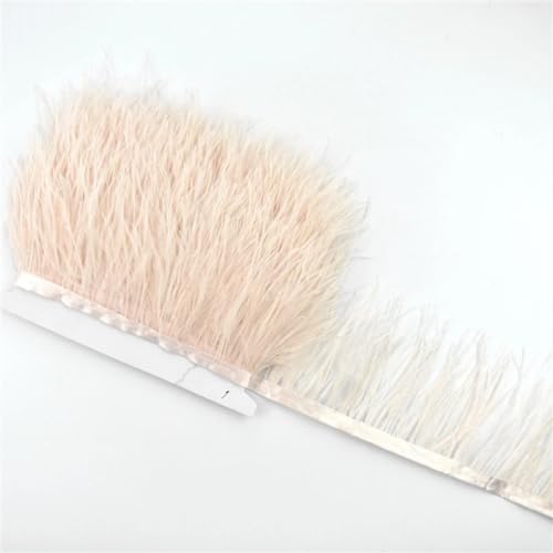 10 Meter Federband für Rock/Kleid, 8–10 cm, Kostümfedern zum Basteln, 18 Lotuswurzelfarben 10 Meter Federband für Rock/Kleid, 8–10 cm, Kostümfedern zum Basteln, 18 Lotuswurzelfarben von Generisch