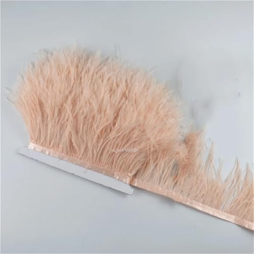 10 Meter Federband für Rock/Kleid, 8–10 cm, Kostümfedern zum Basteln, DIY, 27 Champagner 10 Meter Federband für Rock/Kleid, 8–10 cm, Kostümfedern zum Basteln, DIY, 27 Champagner von Generisch