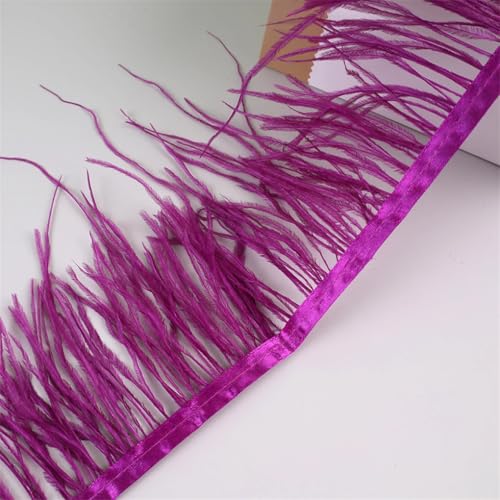 10 Meter Federfransenborte für Handarbeiten und Handwerk, Federkleid, Zubehör, Burgunderrot, 10 Meter 10 Meter Federfransenborte für Handarbeiten und Handwerk, Federkleid, Zubehör, Burgunderrot, 10 Meter von Generisch