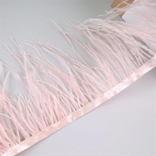10 Meter Federfransenborte für Handarbeiten und Handwerk, Federkleid, Zubehör, Garnelen, pnnrk, 10 m von Generisch