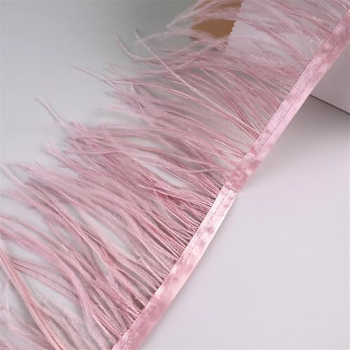 10 Meter Federfransenborte für Handarbeiten und Handwerk, Federkleid, Zubehör, Leder, pnnrk1, 10 Meter von Generisch