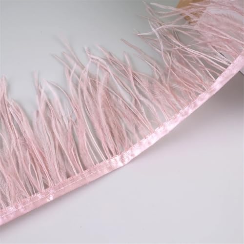 10 Meter Federfransenborte für Handarbeiten und Handwerk, Federkleid, Zubehör, Leder, pnnrk2, 10 Meter von Generisch