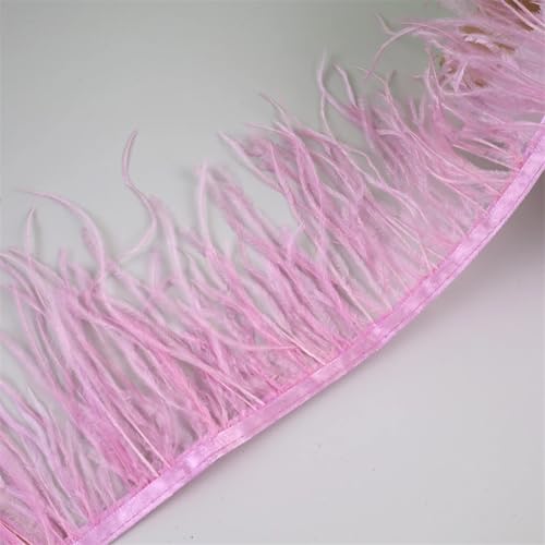 10 Meter Federfransenborte für Handarbeiten und Handwerk, Federkleid, Zubehör, Lila, pnnrk, 10 m 10 Meter Federfransenborte für Handarbeiten und Handwerk, Federkleid, Zubehör, Lila, pnnrk, 10 m von Generisch