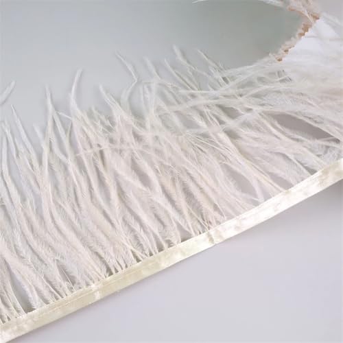 10 Meter Federfransenborte für Handarbeiten und Handwerk, Federkleid, Zubehör, Shampagne, 10 m 10 Meter Federfransenborte für Handarbeiten und Handwerk, Federkleid, Zubehör, Shampagne, 10 m von Generisch