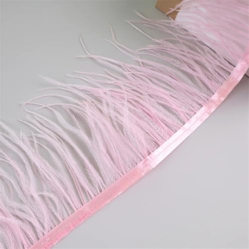 10 Meter Federfransenborte für Handarbeiten und Handwerk, Federkleid, Zubehör, pnnrk, 10 m 10 Meter Federfransenborte für Handarbeiten und Handwerk, Federkleid, Zubehör, pnnrk, 10 m von Generisch