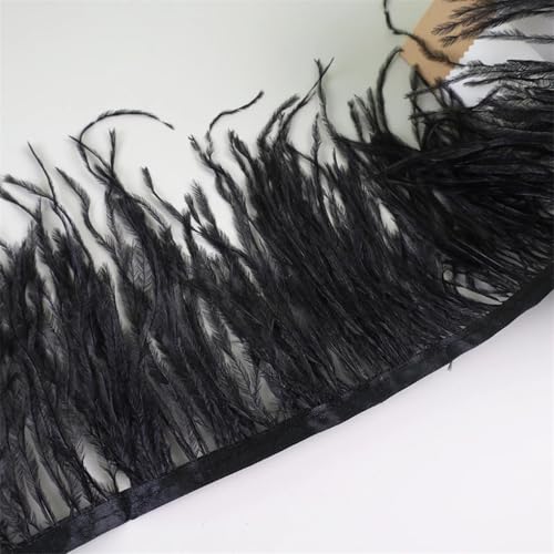 10 Meter Federfransenborte für Handarbeiten und Handwerk, Federkleid, Zubehör, schwarz, 10 Meter von Generisch