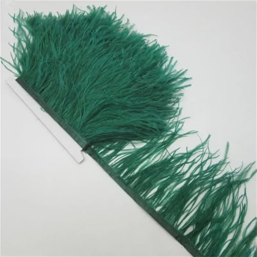 10 Meter Flauschiges Straußenfeder-Besatztuch Seitenband 10-15 cm DIY Kleidung Zubehör Dekorative Accessoires Dunkel EN8 10 Meter Flauschiges Straußenfeder-Besatztuch Seitenband 10-15 cm DIY Kleidung Zubehör Dekorative Accessoires Dunkel EN8 von Generisch