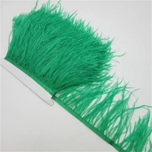 10 Meter Flauschiges Straußenfeder-Besatztuch Seitenband 10-15 cm DIY Kleidung Zubehör Dekorative Accessoires EN8 10 Meter Flauschiges Straußenfeder-Besatztuch Seitenband 10-15 cm DIY Kleidung Zubehör Dekorative Accessoires EN8 von Generisch