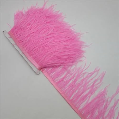 10 Meter Flauschiges Straußenfeder-Besatztuch Seitenband 10-15 cm DIY Kleidung Zubehör Dekorative Accessoires Pnnrk 10 Meter Flauschiges Straußenfeder-Besatztuch Seitenband 10-15 cm DIY Kleidung Zubehör Dekorative Accessoires Pnnrk von Generisch