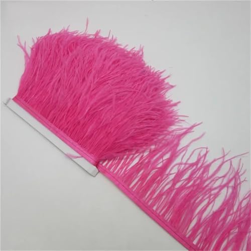 10 Meter Flauschiges Straußenfeder-Besatztuch Seitenband 10-15 cm DIY Kleidung Zubehör Dekorative Accessoires Rose Rot 10 Meter Flauschiges Straußenfeder-Besatztuch Seitenband 10-15 cm DIY Kleidung Zubehör Dekorative Accessoires Rose Rot von Generisch