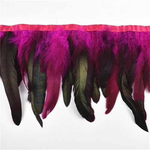 10 Meter Hahnfeder-Fransenborte für Kleidung, Band, Nähen, Dekoration, Handwerk, Federfransenborte 10 Meter Hahnfeder-Fransenborte für Kleidung, Band, Nähen, Dekoration, Handwerk, Federfransenborte von Generisch