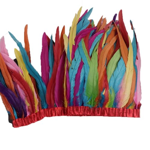 10 Meter Hahnschwanzfeder-Bordüre, 25–30 cm, Coque-Federn, Besatz für Handarbeit, Handwerk, Kleid, Rock, Farbmischung, 10 m von Generisch