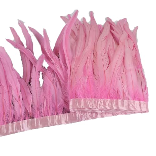 10 Meter Hahnschwanzfeder-Bordüre, 25–30 cm, Coque-Federn, Besatz für Handarbeit, Handwerk, Kleid, Rock, Pnnrk, 10 Meter von Generisch