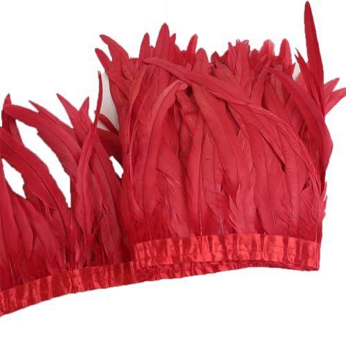 10 Meter Hahnschwanzfeder-Bordüre, 25–30 cm, Coque-Federn, Besatz für Handwerk, Kleid, Rock, Rot, 10 Meter von Generisch