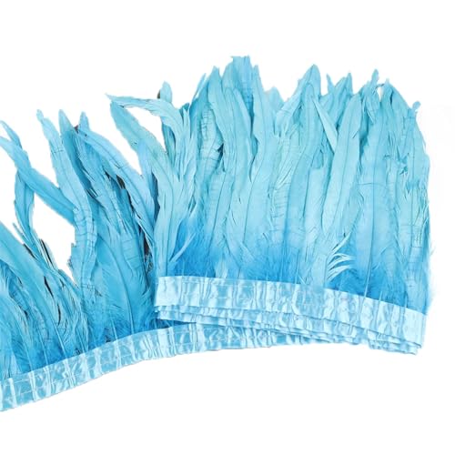 10 Meter Hahnschwanzfeder-Bordüre, 25–30 cm, Coque-Federn, Besatz für Handwerk, Kleid, Rock, Türkisblau, 10 Meter von Generisch
