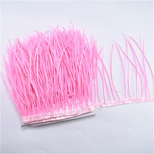 10 Meter Rosenband mit Gänsefedern, Fransenband, 15,2 - 20,3 cm, Feder für Handwerk, Schmuckherstellung, Dekoration, Pnnrk 10 Meter Rosenband mit Gänsefedern, Fransenband, 15,2 - 20,3 cm, Feder für Handwerk, Schmuckherstellung, Dekoration, Pnnrk von Generisch