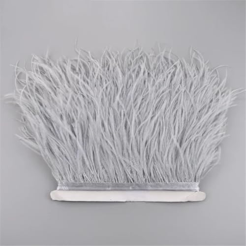 10 Meter Straußenfeder-Band, 10-15 cm, Quaste, Fransenbordüre, Kleidung, Nähzubehör, 21 Stück 10 Meter Straußenfeder-Band, 10-15 cm, Quaste, Fransenbordüre, Kleidung, Nähzubehör, 21 Stück von Generisch