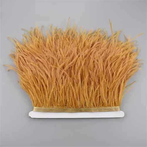 10 Meter Straußenfeder-Band, 10-15 cm, Quaste, Fransenbordüre, Kleidung, Nähzubehör, 30 Stück 10 Meter Straußenfeder-Band, 10-15 cm, Quaste, Fransenbordüre, Kleidung, Nähzubehör, 30 Stück von Generisch