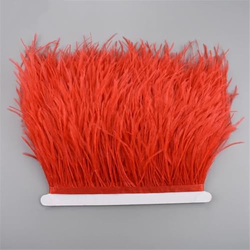 10 Meter Straußenfeder-Band, 10-15 cm, Quaste, Fransenbordüre, Kleidung, Nähzubehör, 45 Stück von Generisch