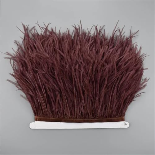 10 Meter Straußenfeder-Band, 10-15 cm, Quaste, Fransenbordüre, Kleidung, Nähzubehör, 54 10 Meter Straußenfeder-Band, 10-15 cm, Quaste, Fransenbordüre, Kleidung, Nähzubehör, 54 von Generisch