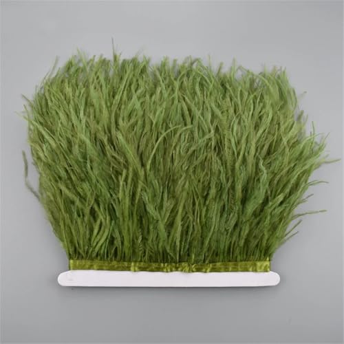 10 Meter Straußenfeder-Band, 10-15 cm, Quaste, Fransenbordüre, Kleidung, Nähzubehör, 56 Stück von Generisch