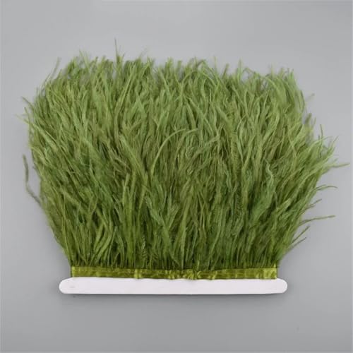 10 Meter Straußenfederband, 10-15 cm, Federborte für Kleidung, Nähen, Besätze, weißer Fransenrock, 56 von Generisch