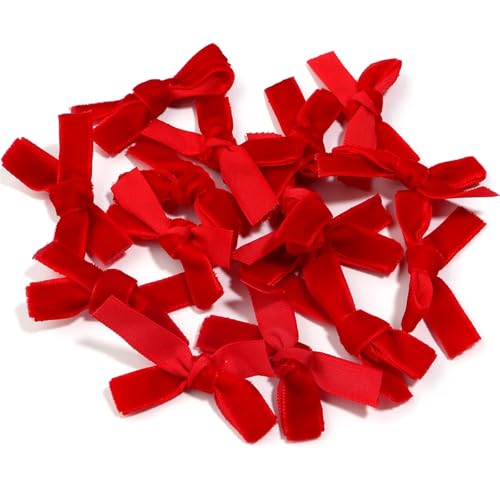 10 Stück Samtbandschleifen, 6 x 3,5 cm, handgefertigte Stoffschleifen for Heimwerker, Basteln, Nähzubehör, Party- und Hochzeitsdekorationen(Red) von Generisch