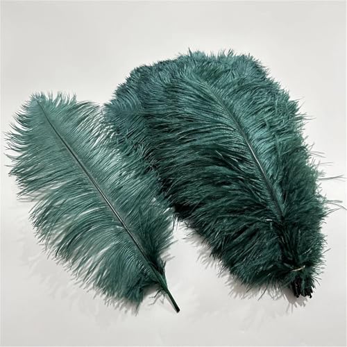 10 Stück bunte Wispy Plumes 20–40 cm zum Basteln von Tischaufsätzen und zum Aufnähen auf Tanzkleidung als Bastelzubehör 10 Stück bunte Wispy Plumes 20–40 cm zum Basteln von Tischaufsätzen und zum Aufnähen auf Tanzkleidung als Bastelzubehör von Generisch