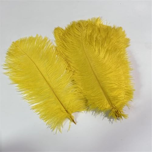 10 Stück bunte Wispy Plumes 20–40 cm zum Basteln von Tischaufsätzen und zum Aufnähen auf Tanzkleidung als Bastelzubehör von Generisch