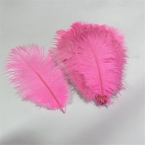 10 Stück bunte Wispy Plumes 20–40 cm zum Basteln von Tischaufsätzen und zum Aufnähen auf Tanzkleidung als Bastelzubehör 10 Stück bunte Wispy Plumes 20–40 cm zum Basteln von Tischaufsätzen und zum Aufnähen auf Tanzkleidung als Bastelzubehör von Generisch