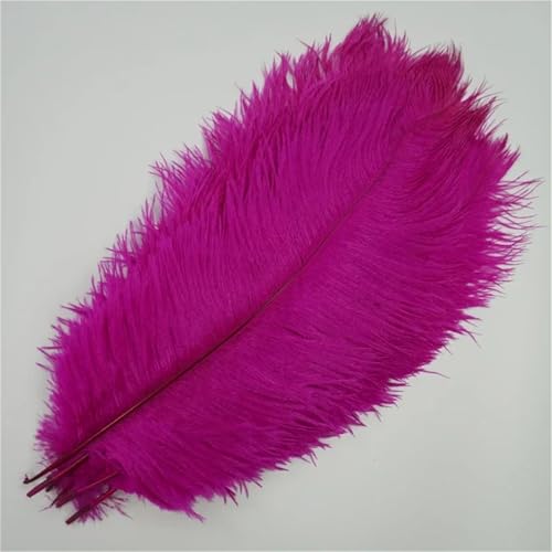 10 Stück große Wispy Plumes 40-45 cm in mehreren Farben zum Basteln von Tischdekorationen und DIY-Schmuck 10 Stück große Wispy Plumes 40-45 cm in mehreren Farben zum Basteln von Tischdekorationen und DIY-Schmuck von Generisch