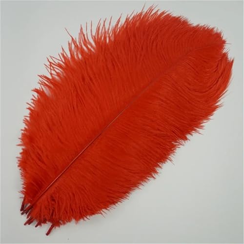10 Stück große Wispy Plumes 40-45 cm in mehreren Farben zum Basteln von Tischdekorationen und DIY-Schmuck von Generisch
