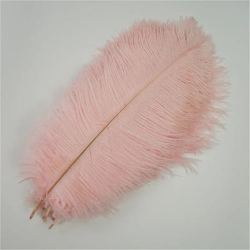 10 Stück große Wispy Plumes 40-45 cm in mehreren Farben zum Basteln von Tischdekorationen und DIY-Schmuck von Generisch