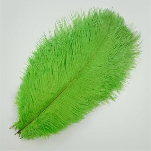 10 Stück große Wispy Plumes 40-45 cm in mehreren Farben zum Basteln von Tischdekorationen und DIY-Schmuck von Generisch